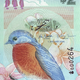 Image for article titled Here are the nine most beautiful banknotes in the world